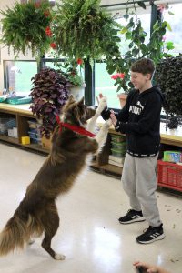 dog stands on its hind legs to high five a sixth grade student