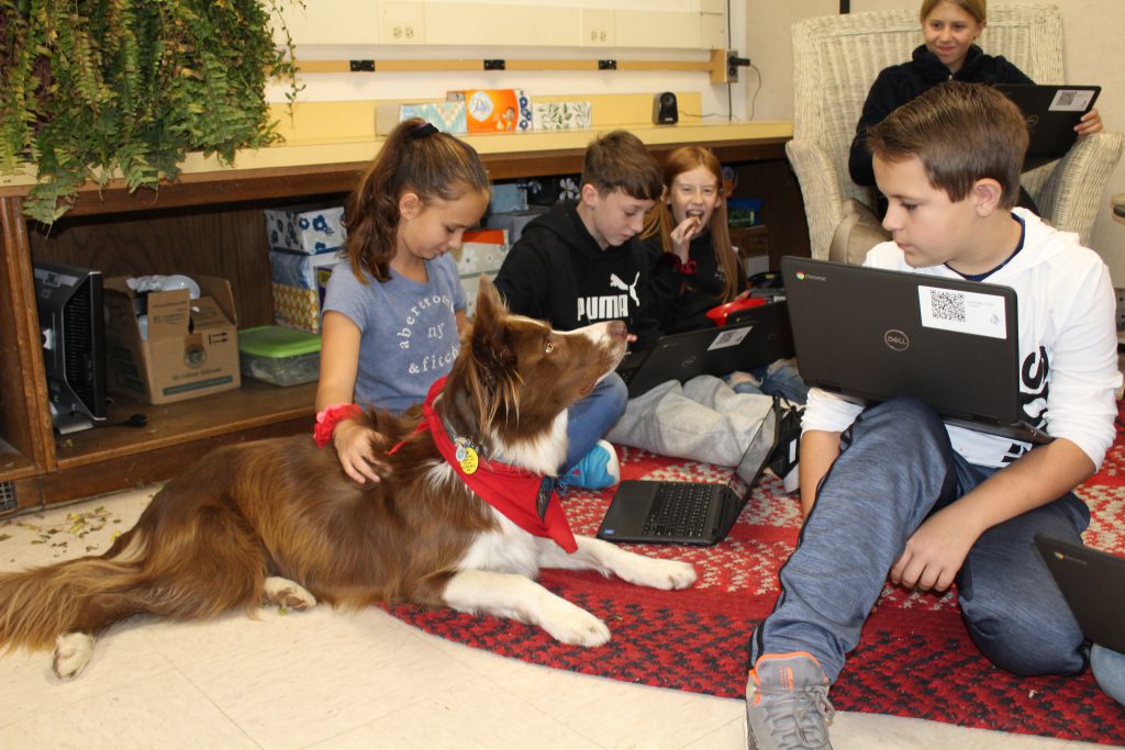 students use Chromebooks while seated on a carpet with a therapy dog in a classroom