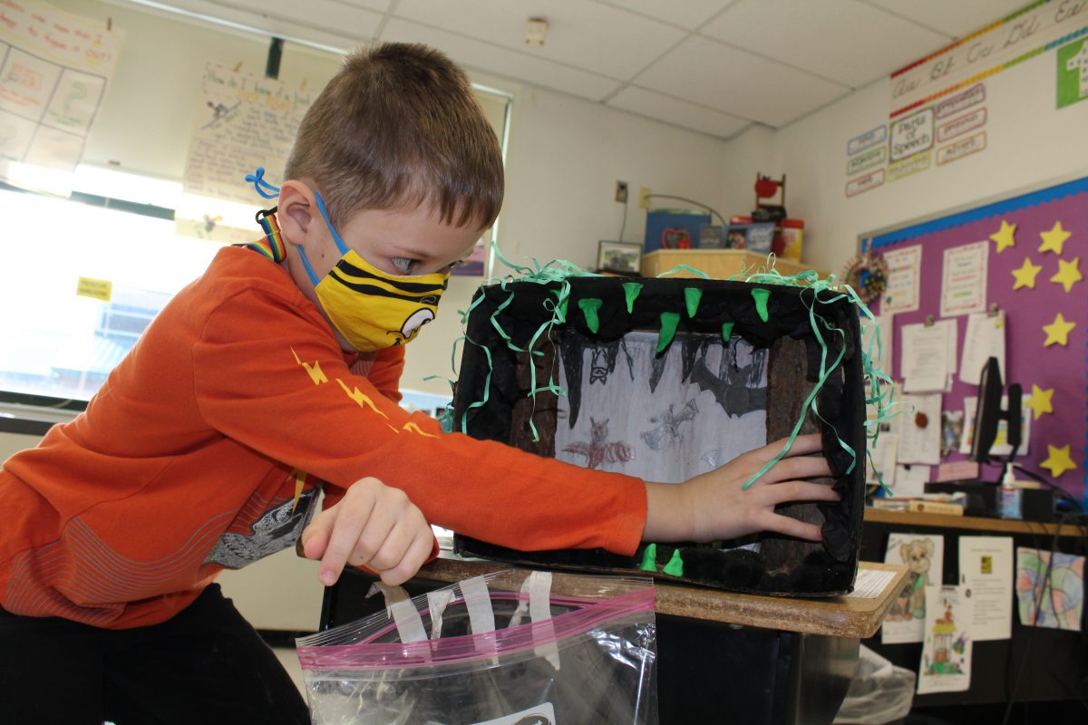 Hands-on project brings student learning to life during remote instruction