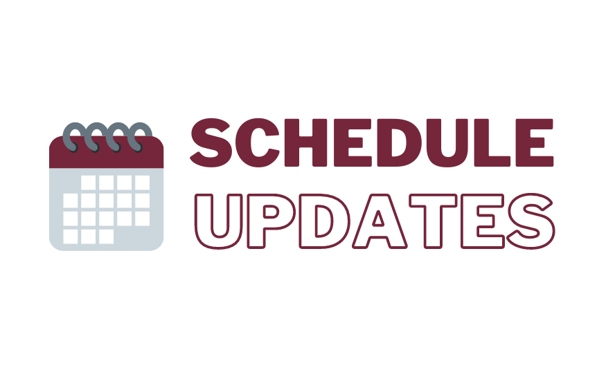 Hybrid learning schedule updates