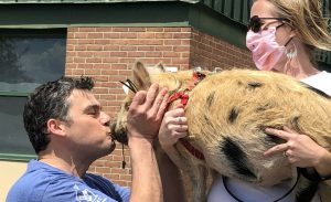 school principal leans on a school sidewalk to kiss a pig held by a handler