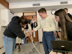 FFHS agriculture students were able to utilize sonogram technology to detect the birthing schedule for dairy goats while on campus.